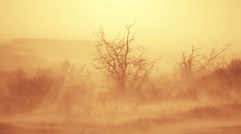 The danger has ended