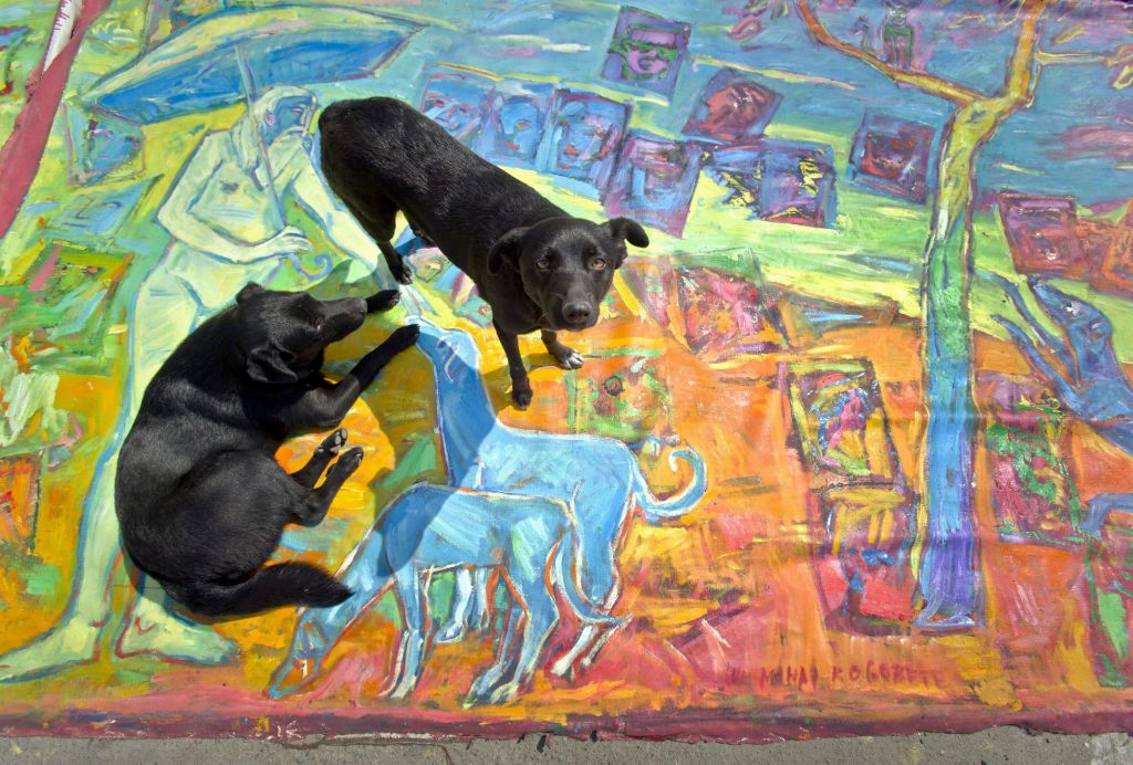 To the virus, from&nbsp;Doggo