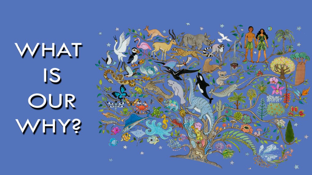 Why do we exist? For what&nbsp;purpose?