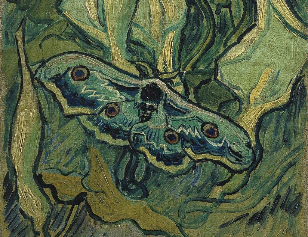 The Metamorphosis Of A Great Gray&nbsp;Moth