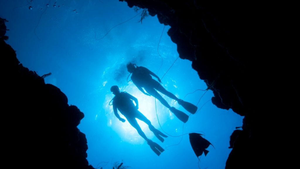 A dive to remember, or&nbsp;not